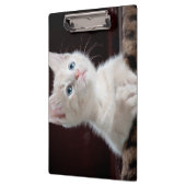 傷つきやすい白い子猫 クリップボード (左)