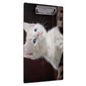 傷つきやすい白い子猫 クリップボード (右)