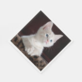 傷つきやすい白い子猫 スタンダードランチョンナプキン (角)