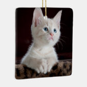 傷つきやすい白い子猫 セラミックオーナメント (右)