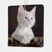 傷つきやすい白い子猫 セラミックオーナメント (左)