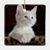傷つきやすい白い子猫 セラミックオーナメント (裏面)