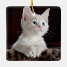 傷つきやすい白い子猫 セラミックオーナメント