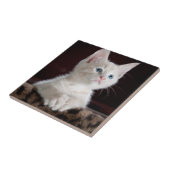 傷つきやすい白い子猫 タイル (側面)