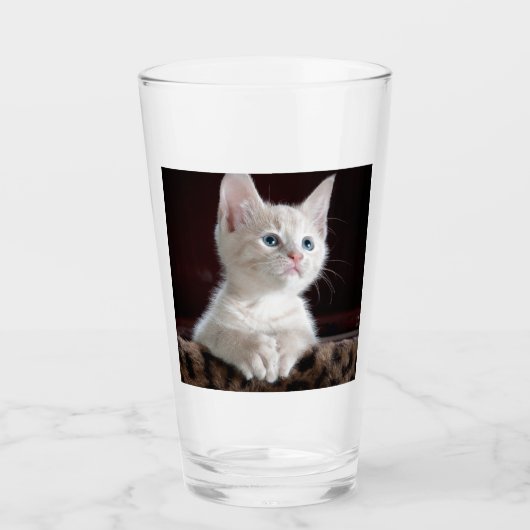 傷つきやすい白い子猫 タンブラーグラス (正面)