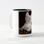 傷つきやすい白い子猫 ツートーンマグカップ (正面左)