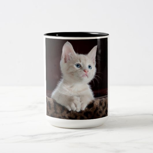 傷つきやすい白い子猫 ツートーンマグカップ (中央)