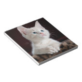 傷つきやすい白い子猫 ノートパッド (アングル)