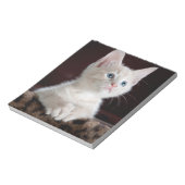 傷つきやすい白い子猫 ノートパッド (回転)