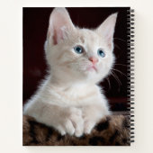 傷つきやすい白い子猫 ノートブック (裏面)