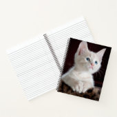 傷つきやすい白い子猫 ノートブック (内部)