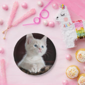 傷つきやすい白い子猫 ペーパープレート (パーティー)