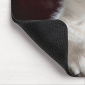 傷つきやすい白い子猫 マウスパッド (コーナー)