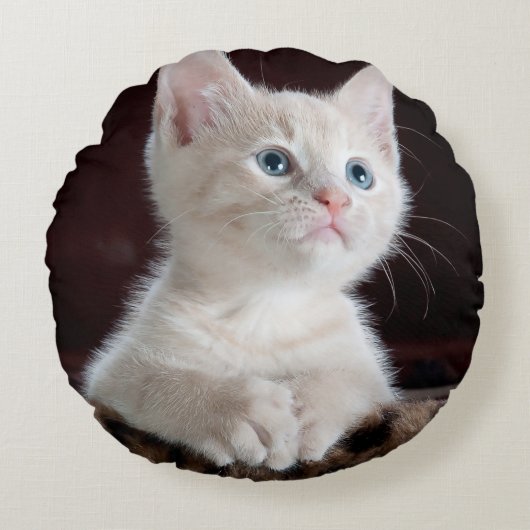 傷つきやすい白い子猫 ラウンドクッション (正面)
