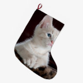 傷つきやすい白い子猫 ラージクリスマスストッキング (正面 (吊り時))