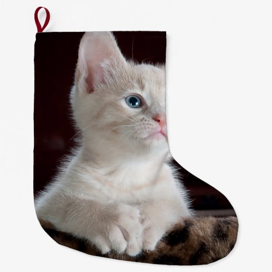 傷つきやすい白い子猫 ラージクリスマスストッキング (正面)