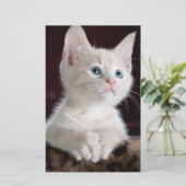 傷つきやすい白い子猫 便箋 (スタンド正面)