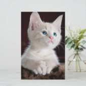 傷つきやすい白い子猫 便箋 (スタンド正面)