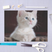 傷つきやすい白い子猫 薄葉紙 (クラフト)