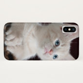 傷つきやすい白い子猫 Case-Mate iPhoneケース (裏面(横))