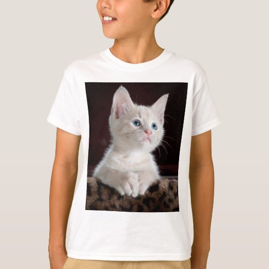 傷つきやすい白い子猫 Tシャツ (正面)