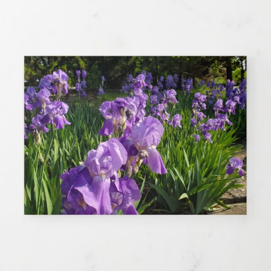 傷とボロボロのカード 三つ折りクリスマスカード (カバー)