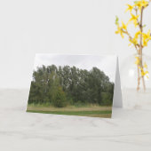 傾いた木のラインランドスケープのグリーティングカード カード (黄色い花)