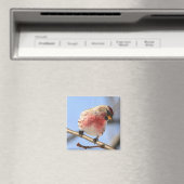 傾動レッドポーリングマグネット マグネット (インサイチュ (食洗機))