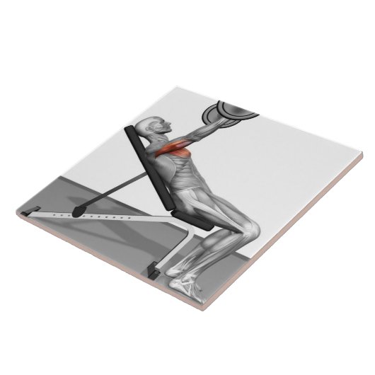 傾斜のベンチプレス3 タイル (側面)