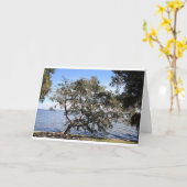 "傾斜のリブオーク"のメッセージカード カード (黄色い花)