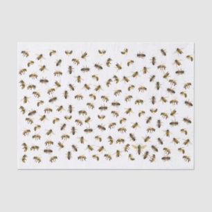 働き蜂とクイーンの養蜂会 薄葉紙