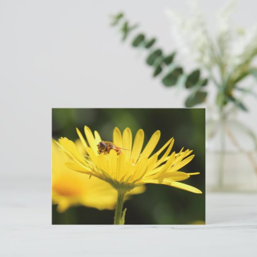 働き蜂 ポストカード (スタンド正面)