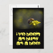 働き蜂 ポストカード (正面/裏面)