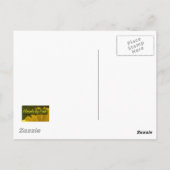 働き蜂 ポストカード (裏面)