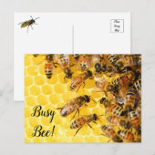 働き蜂, ミツバチ, ハチの巣 ポストカード (正面/裏面)