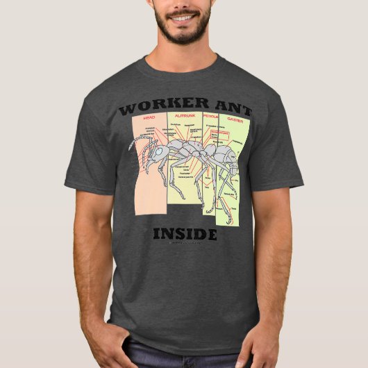 働くアリの内部解剖学 生物学 昆虫学 Tシャツ (正面)