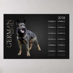 働くジャーマン・シェパード犬- GSDのカレンダー2018年 ポスター
