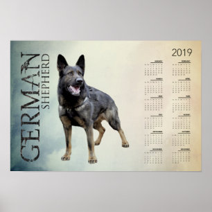働くジャーマン・シェパード犬- GSDのカレンダー2019年 ポスター