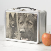 働くジャーマン・シェパード犬- GSD メタルランチボックス (インサイチュ)