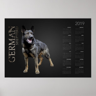働くドイツの羊飼い犬 – GSDカレンダー2019 ポスター