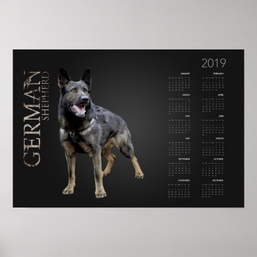 働くドイツの羊飼い犬 – GSDカレンダー2019 ポスター (正面)