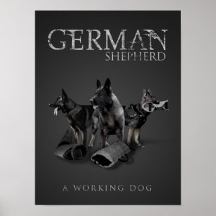 働くドイツの羊飼い犬 – GSD ポスター