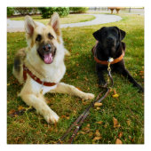 働く女の子 ポスター (正面)