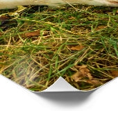 働く女の子 ポスター (コーナー)