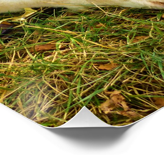 働く女の子 ポスター (コーナー)