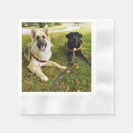 働く女の子 縁ありカクテルナプキン (正面)