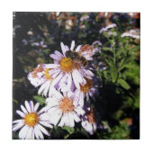 働く蜂のデイジー タイル (正面)
