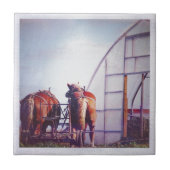 働荷車を引くく準備ができた馬 タイル (正面)