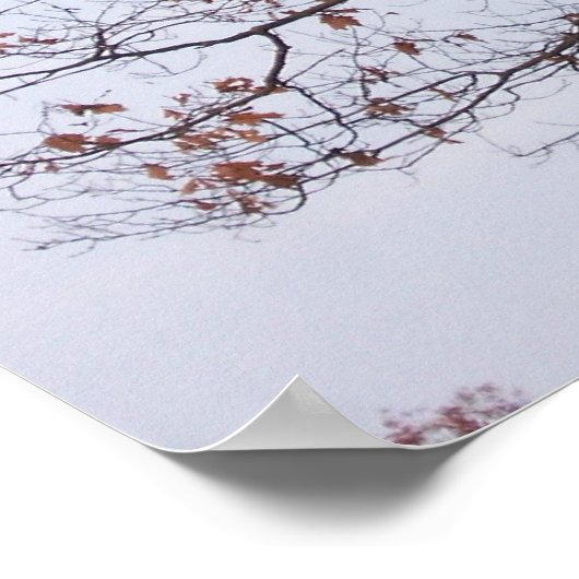 像 ポスター (角)