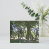 像 ポストカード (スタンド正面)